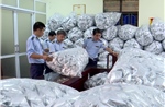 Thu giữ 40.000 gói rong biển không rõ nguồn gốc