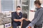 Dịp hè, nhiều trẻ bị chó cắn nguy hiểm 