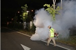 Việt Nam chưa có ca bệnh Chikungunya nhưng luôn đề cao cảnh giác