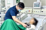 Liên tục ghi nhận các ca sốt rét ác tính 