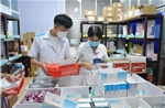 Hà Nội giám sát việc cung ứng thuốc tại các bệnh viện công lập