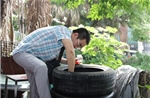 Hà Nội có thêm 19 ổ dịch sốt xuất huyết trong tuần qua