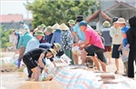 Hà Nội: Đảm bảo nước sạch, an toàn thực phẩm tại vùng ngập úng xã Trung Giã và Đa Phúc