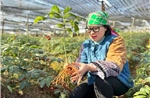 Lương y với nỗ lực chuẩn hóa, lưu truyền các bài thuốc Nam