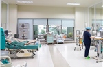 Cảnh báo bệnh não hoại tử cấp tính liên quan đến cúm A