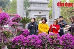 Mê Linh sẵn sàng cho Festival hoa 2022