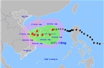 Ứng phó với bão số 6: Cảnh báo có sông lũ trên báo động 3