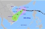 Thời tiết ngày 10/11: Bão số 7 suy yếu thành áp thấp nhiệt đới