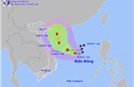 Thời tiết ngày 11/6: Áp thấp nhiệt đới mạnh lên thành bão, mưa lớn ở Trung Bộ và Tây Nguyên