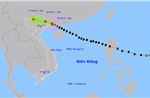 Thời tiết ngày 6/10: Bão số 11 tiến vào biên giới Việt - Trung, Bắc Bộ mưa lớn