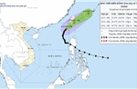 Thời tiết ngày 12/11: Bão số 14 suy yếu dần, cảnh báo gió mạnh và sóng lớn trên biển