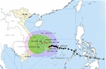 Thời tiết ngày 28/11: Bão số 15 giật cấp 14, vùng biển miền Trung biển động dữ dội