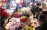 Chợ hoa Quảng An rực sáng suốt đêm cận Tết Bính Ngọ 2026