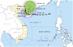 Thời tiết ngày 22/8: Bão số 4 gây mưa đặc biệt lớn tại Quảng Ninh, Hải Phòng