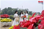 Hà Nội rực rỡ cờ hoa, hân hoan đón Tết Độc lập 