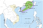 Thời tiết ngày 1/9: Áp thấp nhiệt đới đã mạnh lên thành bão – bão số 5 trong năm 2026