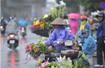 Thời tiết ngày 29/8: Bắc Bộ và nhiều khu vực mưa dông, Biển Đông sóng cao tới 4 m
