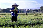 Thời tiết ngày 28/5: Bắc Bộ nắng nóng trước khi đón mưa dông, Nam Bộ mưa to cục bộ