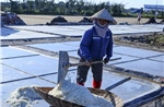 Thời tiết ngày 6/6: Trung du và đồng bằng Bắc Bộ nắng nóng, vùng núi đề phòng lũ quét