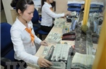 Đề xuất bổ sung Quyền rút vốn đặc biệt vào dự trữ ngoại hối nhà nước