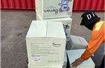 Điều tra lô hàng bỉm, tã nhập từ Trung Quốc nhưng mang nhãn hiệu xuất xứ Hàn Quốc