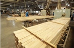 Kế hoạch triển khai thi hành Luật sửa đổi, bổ sung Luật Tiêu chuẩn và quy chuẩn kỹ thuật