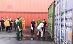 Buôn lậu quặng đồng &#39;trá hình’ là container xuất khẩu ván ép gỗ