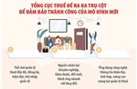 Tinh gọn bộ máy, nâng cao năng lực phục vụ người nộp thuế