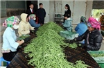 Từ ngày 1/7, nâng mức cho vay đối với cá nhân, hộ kinh doanh không có tài sản đảm bảo 