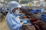  Sau 2 tháng thực hiện Nghị quyết 68, số doanh nghiệp gia nhập thị trường khởi sắc 