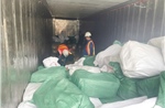 Xuất khống 1.400 tấn chân gà đông lạnh, Hải quan khởi tố vụ án trốn thuế 7 tỷ đồng