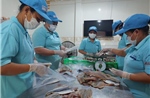 Kỳ vọng các động lực tăng trưởng cuối năm