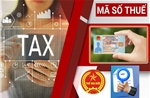 Làm sạch mã số thuế, gỡ ‘điểm nghẽn’ trong kinh doanh 