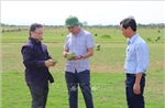 Khơi thông điểm nghẽn đang kìm hãm tín dụng xanh 