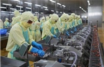 Gia hạn nộp thuế và tiền thuê đất năm 2026 theo Nghị định 245 có gì mới?