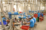 Nam Hoa cải thiện lợi nhuận, mở rộng quy mô bất động sản công nghiệp
