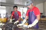 Nuôi dưỡng nguồn thu, thúc đẩy tăng trưởng kinh tế tư nhân 