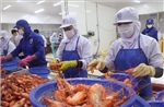 'Khoan thư sức dân', tạo dư địa cho doanh nghiệp phục hồi 