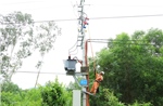 Gắn biển công trình chào mừng 50 năm thành lập Tổng công ty Điện lực miền Trung