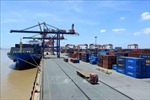 TP Hồ Chí Minh đề xuất xây dựng cảng trung chuyển container quốc tế tại Cần Giờ