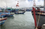 Giá nhiên liệu ổn định tạo động lực cho ngư dân bám biển