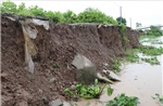 Trà Vinh: Công bố tình huống khẩn cấp sự cố sạt lở bờ sông khu vực ấp Bà Trầm