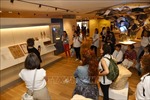 Bảo tàng tại Israel - một giai điệu êm ả của cuộc sống