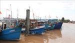 Bạc Liêu giám sát chặt tàu cá có nguy cơ cao vi phạm vùng biển nước ngoài