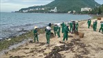 Thu gom hàng trăm tấn rác tràn vào bãi biển Vũng Tàu