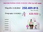 Hơn 250,4 triệu liều vaccine phòng COVID-19 đã được tiêm tại Việt Nam