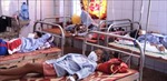 Gia tăng số ca mắc sốt xuất huyết tại Quảng Bình