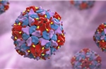 Australia phát hiện virus bại liệt trong nước thải sau hơn nửa thế kỷ