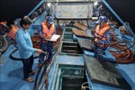 Cảnh sát biển Việt Nam kiên quyết xử lý vi phạm pháp luật trên biển