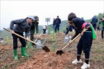 Tết trồng cây: Chung tay bảo vệ môi trường, ứng phó với biến đổi khí hậu